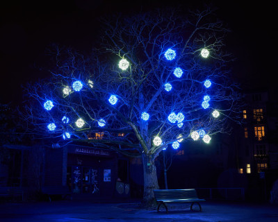 2024-01-03 Köln Zoo China Lights 1124