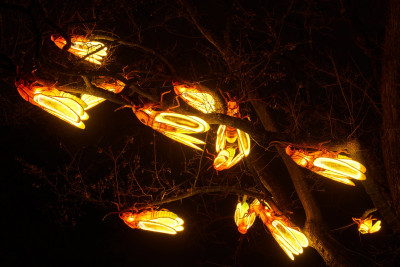 2024-01-03 Köln Zoo China Lights 1216