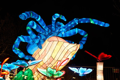 2024-01-03 Köln Zoo China Lights 1276