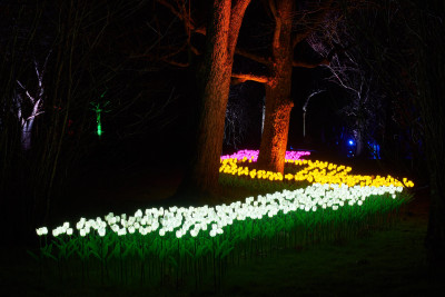 2024-02-23 Parkleuchten 0030