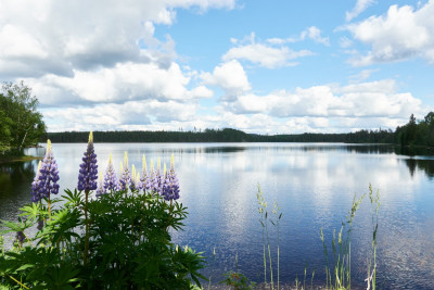 2024-05-24 Sverige 0061