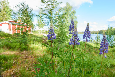 2024-05-24 Sverige 0097