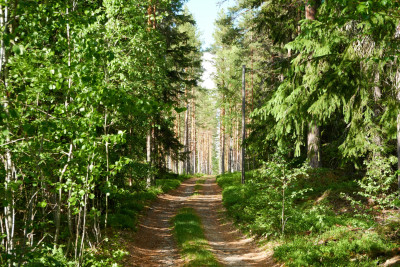 2024-05-24 Sverige 0102