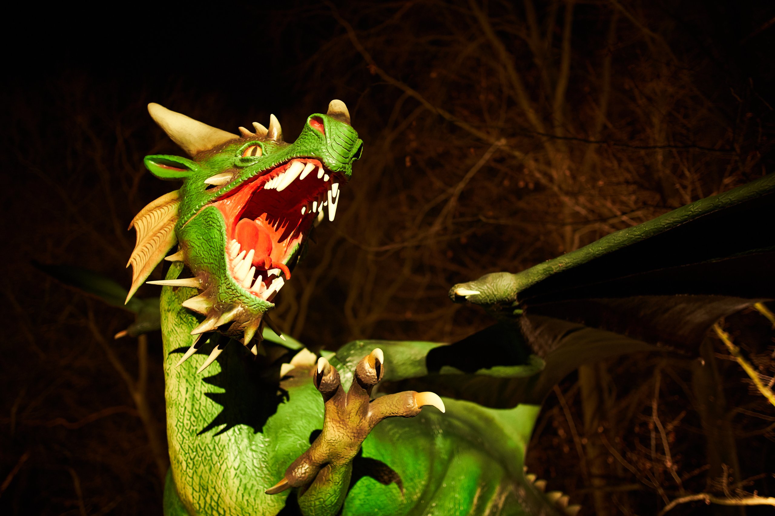 Lichterweihnachtsmarkt 12/2019