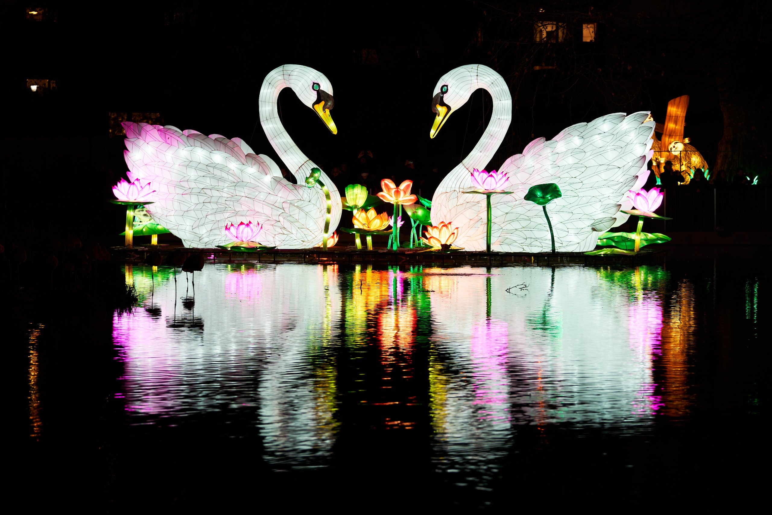 Lichterfest Kölner Zoo 01/2020